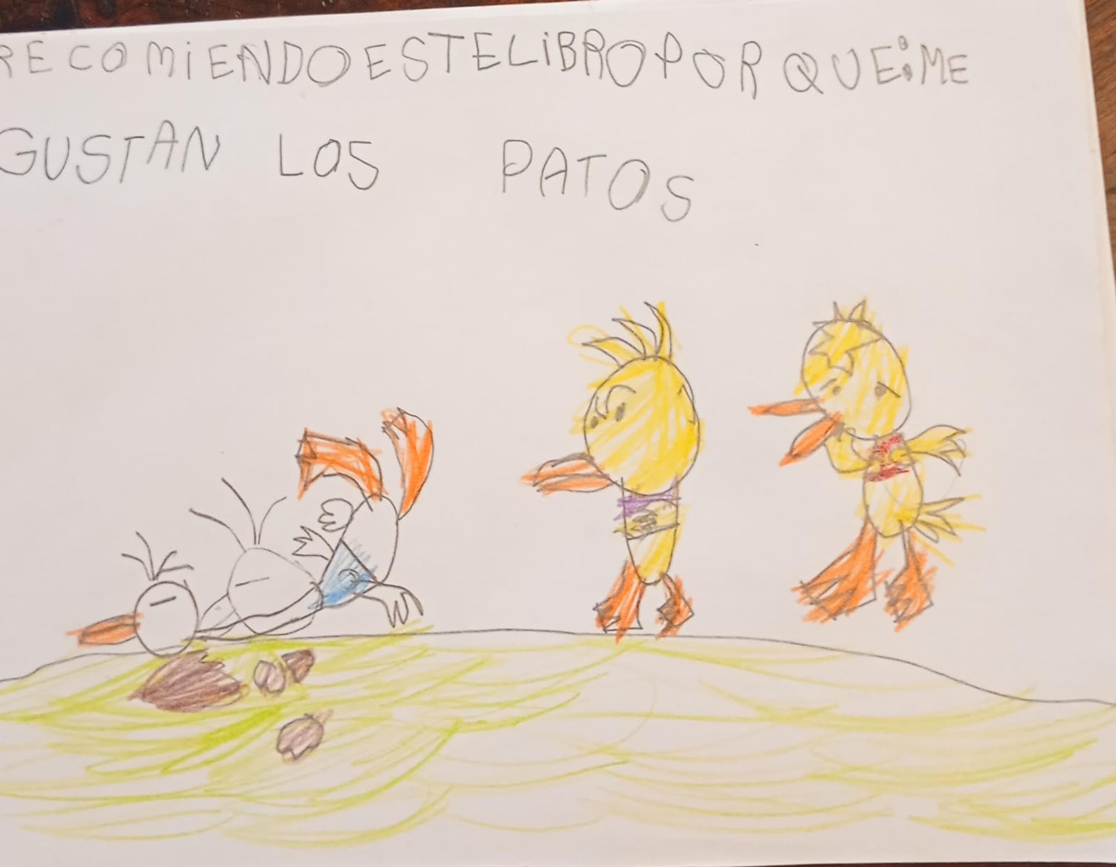 Dibujo Pato 2